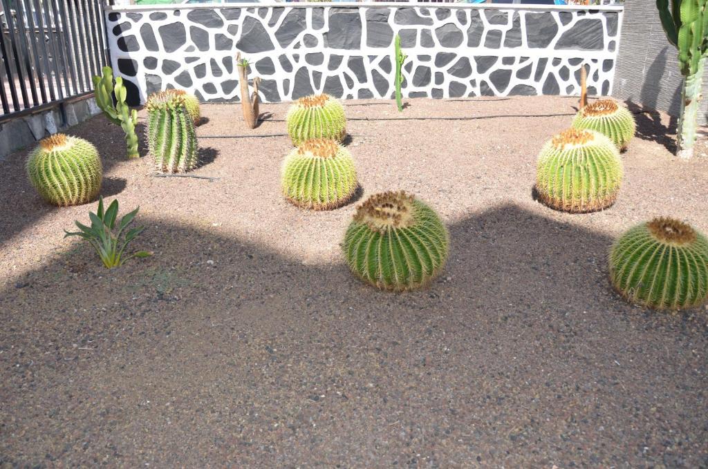 Los Cactus Плайя-дель-Інглес Екстер'єр фото